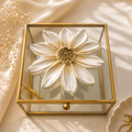 Handcrafted Glass Jewelry & Trinket Box